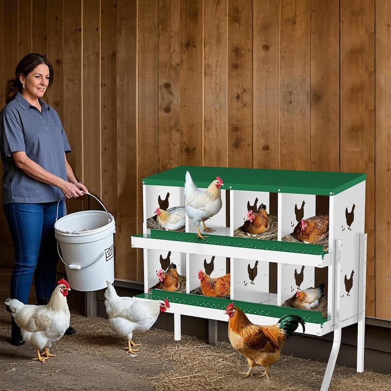 Wall-Mount or Free-Standing Metal Chicken Nesting Box for Hens, Green with Legs