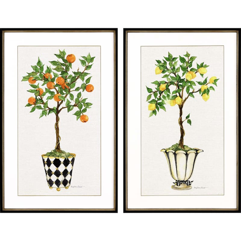 Fruit Topiary S/2 Framed Art Exclusive Giclee Under Glass - Multi-Color - 40 X 26 X 2