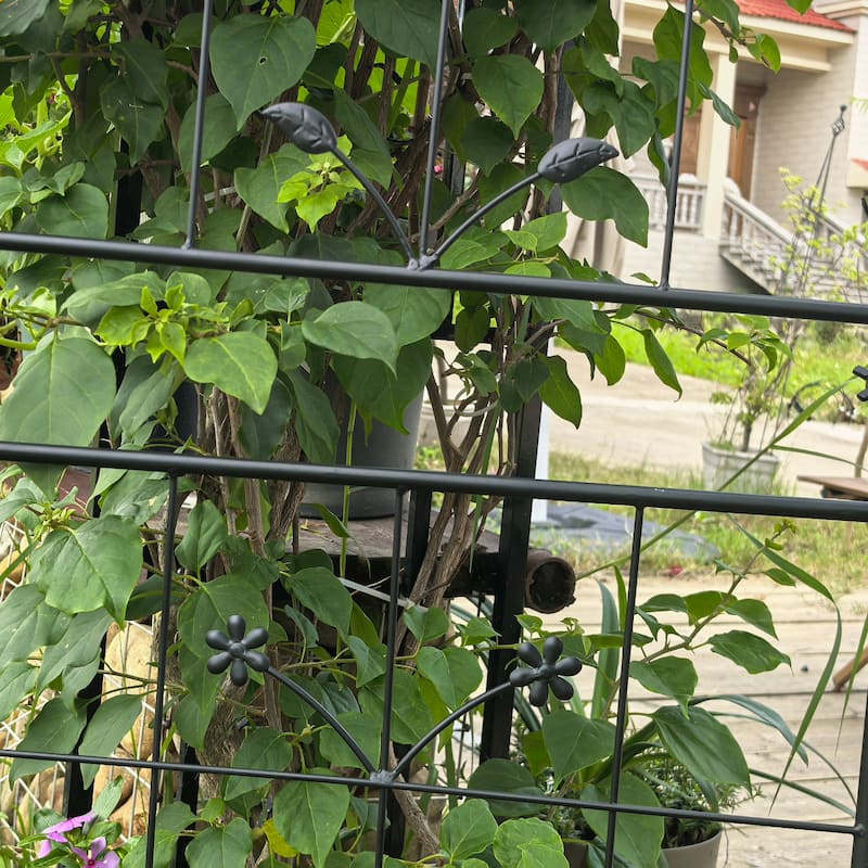 Metal Garden Trellis, 2 Pack Metal Trellis for Climbing Plants, Indoor/Outdoor Plant Trellis, Lawn Garden Fence Decor Screen