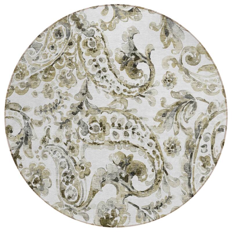 Machine Washable Indoor/ Outdoor Chantille Traditional Scroll Rug