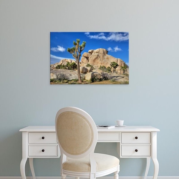 Easy Art Prints Jamie & Judy Wild's 'Granite Rock Formation And Joshua Trees' Premium Canvas Art