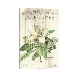 iCanvas "Magnolia de Printemps " by Sue Schlabach Canvas Print