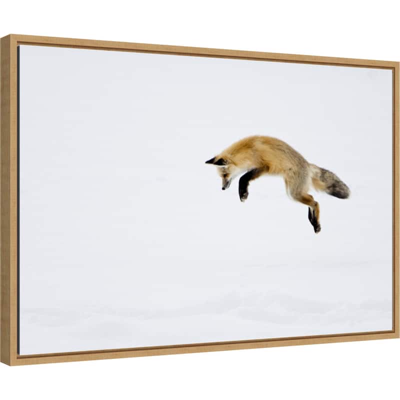 Red Fox in Snow by Deborah Winchester Framed Canvas Art