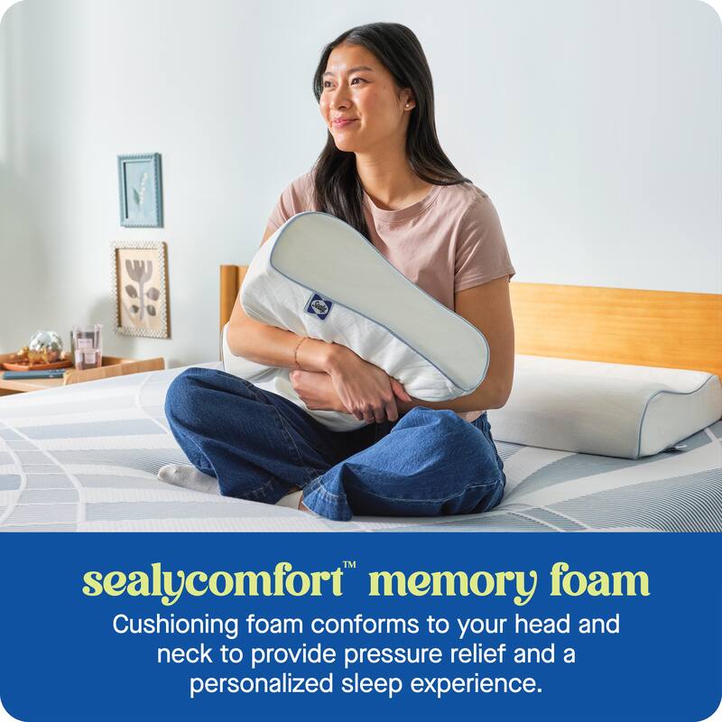 Sealy Dreamlife Contour Memory Foam Pillow, Standard