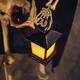 Animated Skeleton & Dog Halloween Decorations, Halloween, Home Decor, 2 Pieces