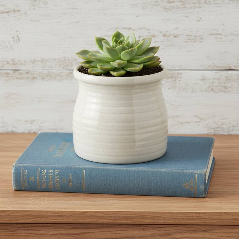 HomeRoots White Ceramic 25 Ounce Striped Round Distressed Pot Planter - 5.00 in. x 4.75 in. x 5.00 in. - White - 5.00 in. x 4.75 in.  x 5.00 in.