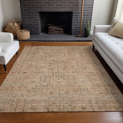 Premium Washable Super Soft Vintage Global Mayfield Rug