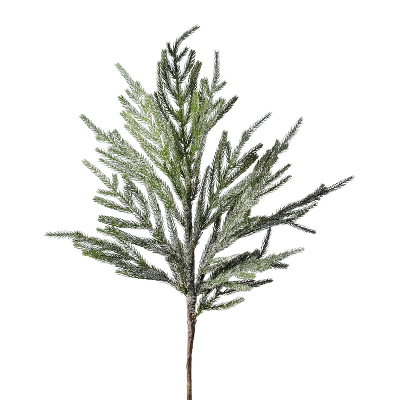 30" Iced Garden Norfolk Pine Branch Set of 3