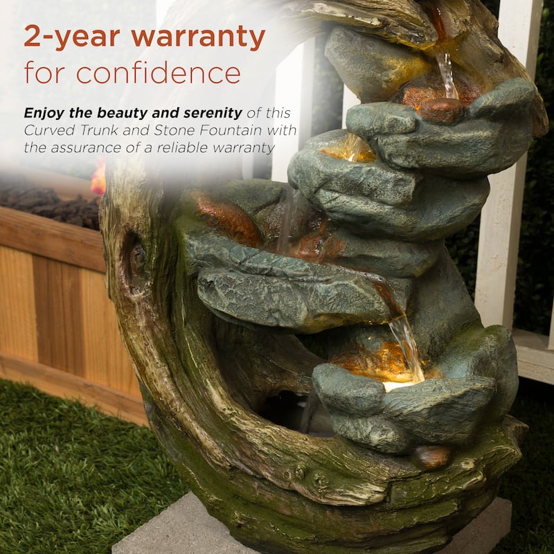 Curved Trunk and Stone Fountain