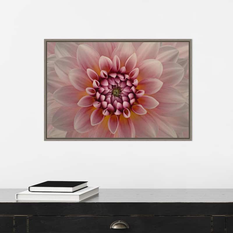 Pink Dahlia Macro by Richard Urbanski (23 x 16 in.), Framed Canvas Wall Art Print - Sylvie Greywash