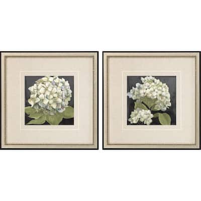 Hydrangeas on Black S/2 Framed Art Giclee Under Glass