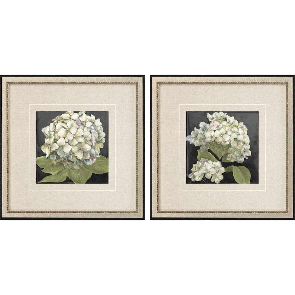 Hydrangeas on Black S/2 Framed Art Giclee Under Glass