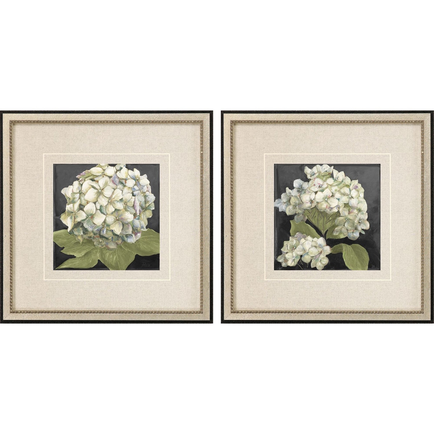 Hydrangeas on Black S/2 Framed Art Giclee Under Glass
