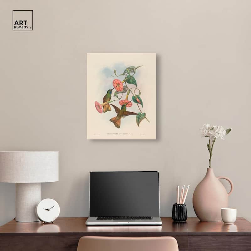 Gould's Hummingbirds Canvas by Art Remedy, Gallery Wrapped