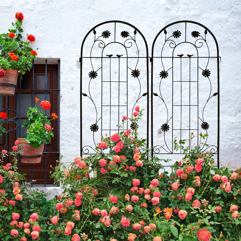 2 Pack Metal Garden Trellis Rustproof Trellis for Climbing Plants Outdoor Flower Support