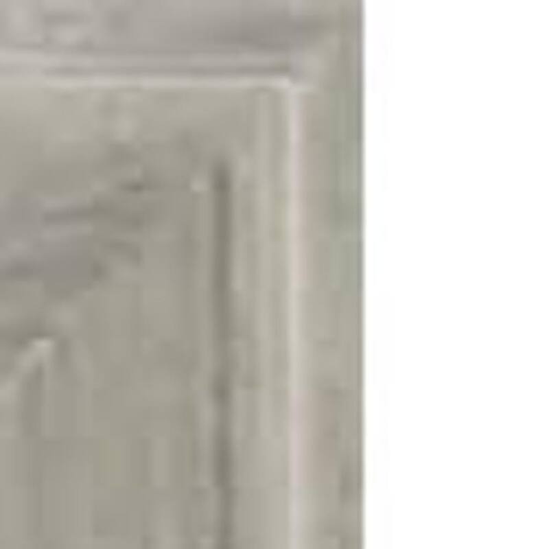 HomeRoots 53" Silver Solid Wood Framed Accent Mirror - 41.00 in. x 53.00 in. x 2.00 in.