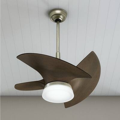 Casablanca Fan Orchid 30" Outdoor w/ LED Light, 3-blade, Wall Control, Damp Rated