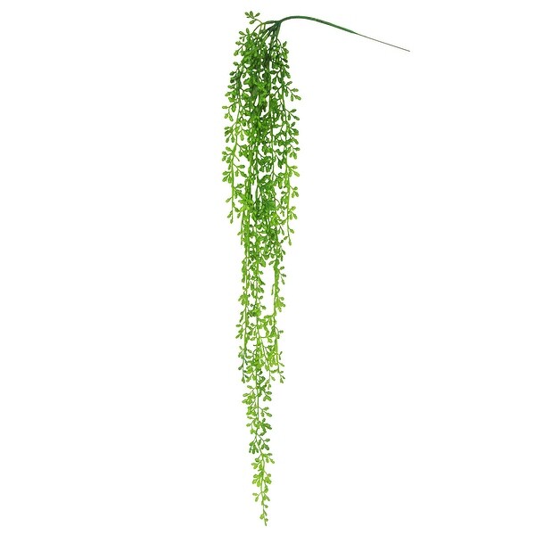 Donkey Tail String of Pearls Succulent Hanging Greenery Spray 40in - 40" L x 8" W x 4" DP. Opens flyout.
