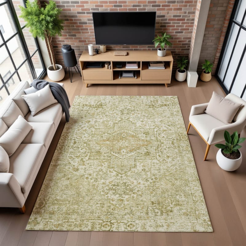 Premium Washable Super Soft Traditional Mayfield Rug