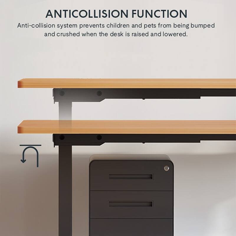Electric Standing Desk, Dual Motor Adjustable 48x24 Home Workstation