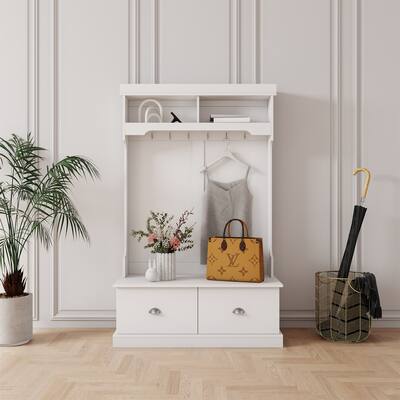 Open Wardrobe with Two Drawers