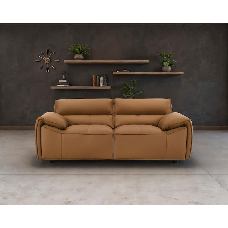 Buxton Top Grain Leather Upholstered Loveseat - 73.5" x 37.5" x 29.5"