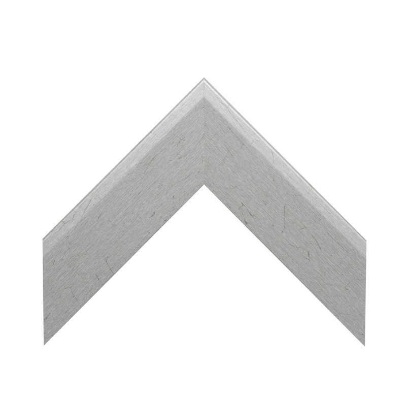 Frame My Mirror Nickel Framed Wall Mirror, LaRue Design