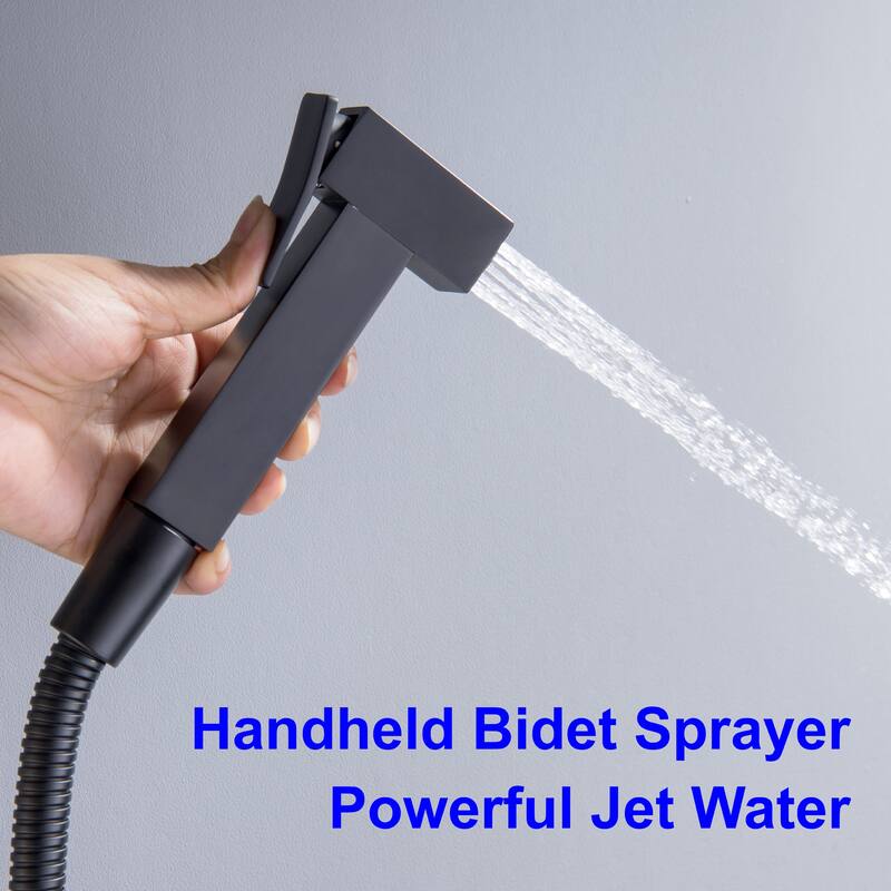 Wall Mount Single-Handle Bidet Faucet with Handle