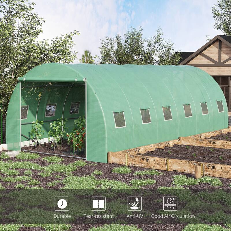 Large Walk-in Greenhouse