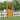 Wood Garden Arbor with Gate and Trellis, Outdoor Fir Wood Garden Arch