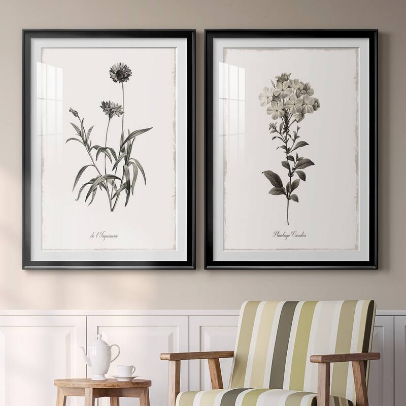 Sketchbook Imperial Premium Framed Print - Ready to Hang