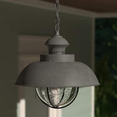 Harwich 1 Light Gray Coastal Outdoor Barn Dome Pendant Clear Glass - 10-in W x 10.75-in H x 10-in D