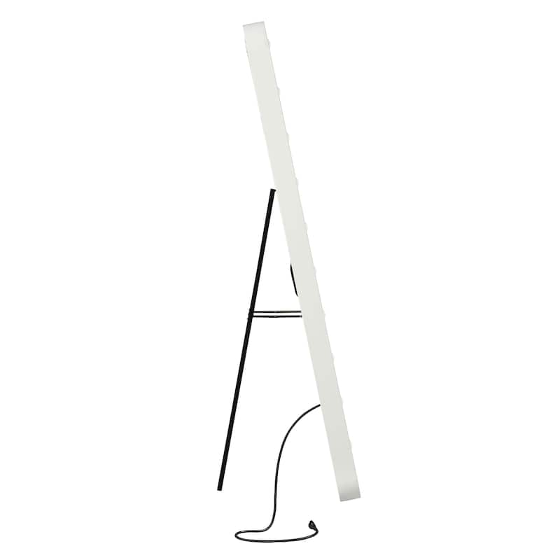 Furniture of America Agnes Glam 71-inch Full Length Mirror with LED and Bluetooth Speaker