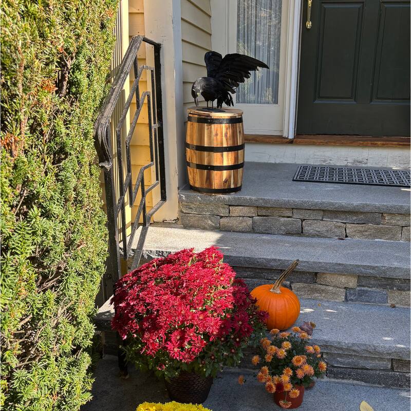14" Standing Halloween Tabletop Flyng Open Wing Feather Crow