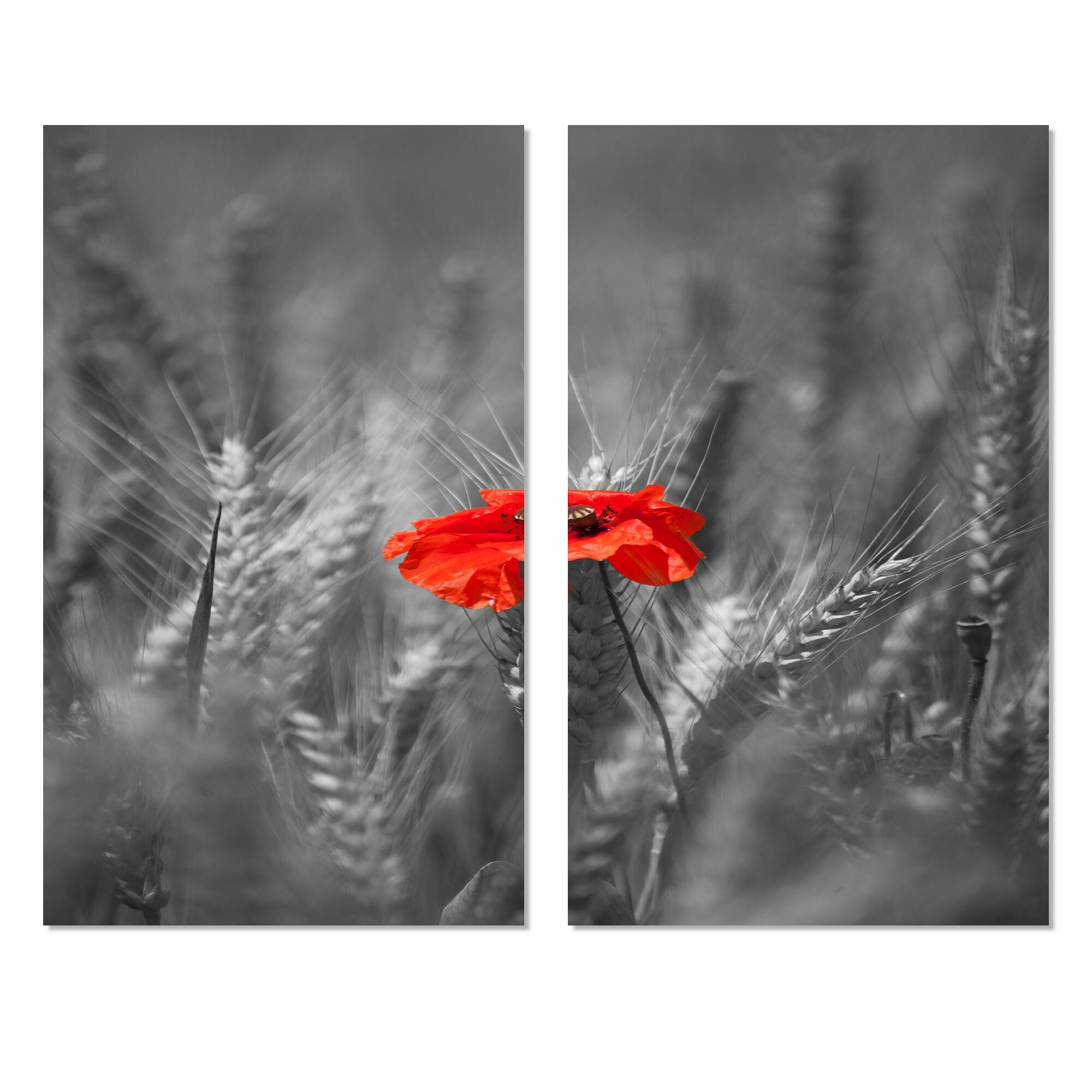 Designart "Sigle Red Poppies" Farmhouse Floral Canvas Wall Art Print 2