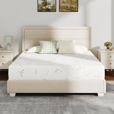 EGOHOME 10 Inch Green Tea Medium Memory Foam Mattress with Bamboo Cover