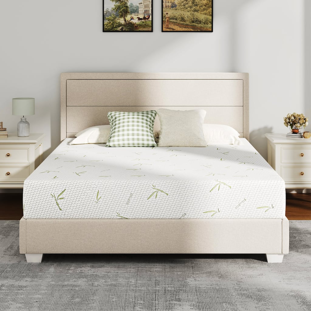 EGOHOME 8 Inch Green Tea Medium Memory Foam Mattress with Bamboo Cover