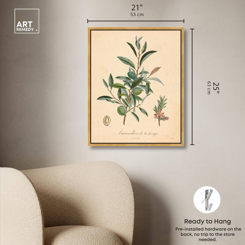 Almond of Georgia I Canvas by Art Remedy