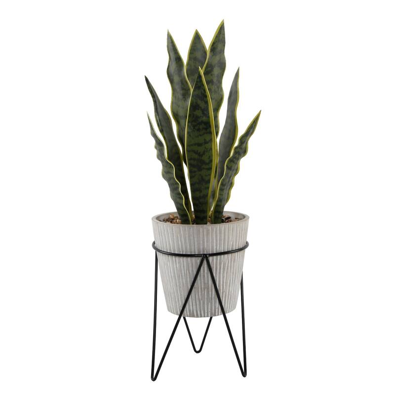 1.8FT Height Artificial Snake Plant - ONE-SIZE
