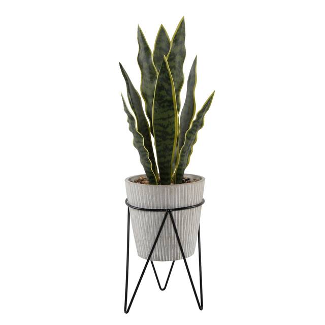 1.8FT Height Artificial Snake Plant - ONE-SIZE