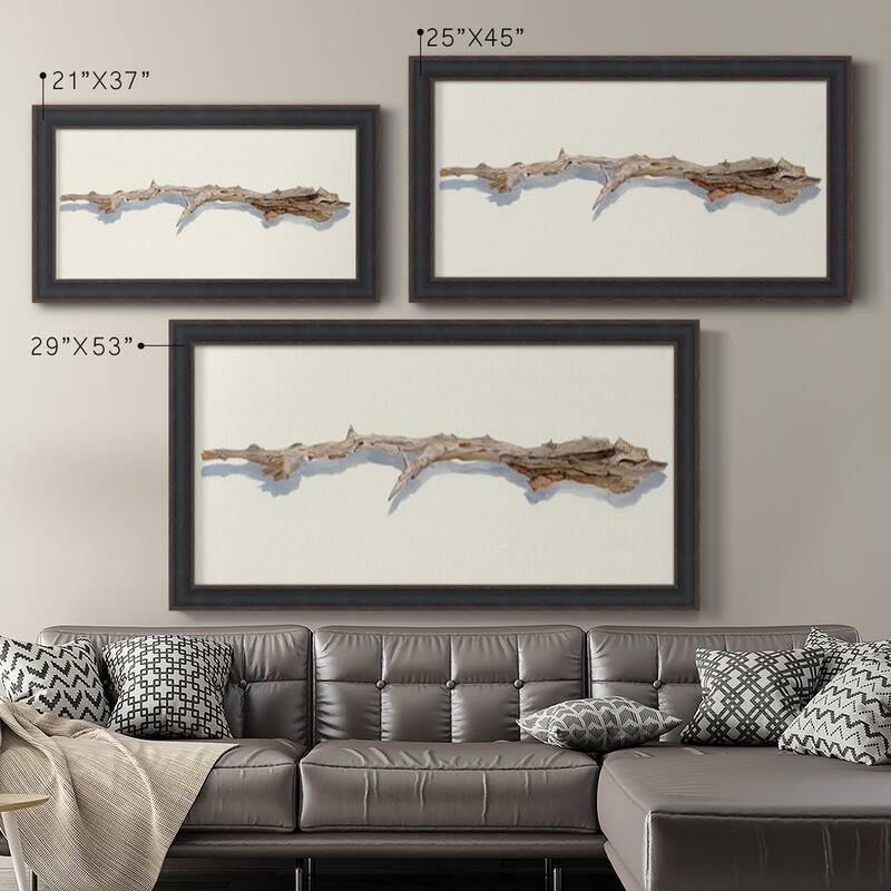 Driftwood Study I Premium Framed Canvas- Ready to Hang