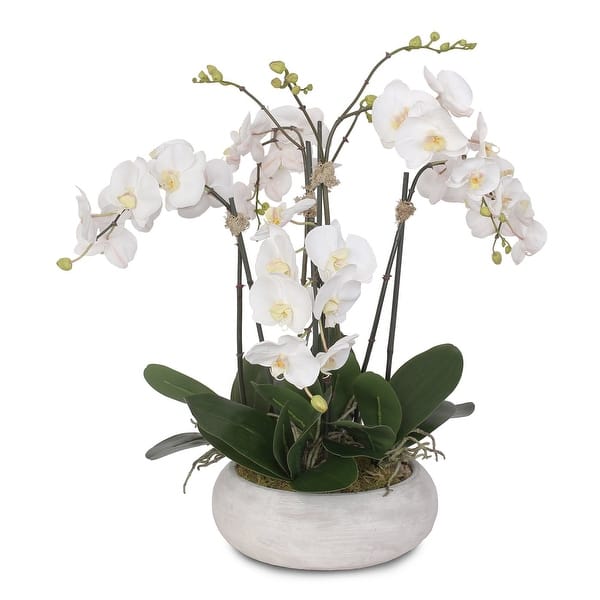 Two Tone White Silk Phalaenopsis Orchids Arrangement in Pot - 25W x 22D ...