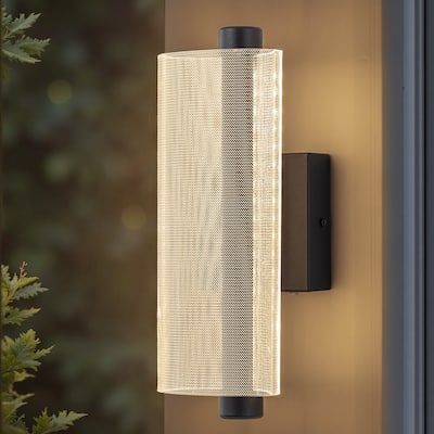 C Cattleya 3CCT Integrated LED Outdoor Wall Sconce with Etched Acrylic Shade