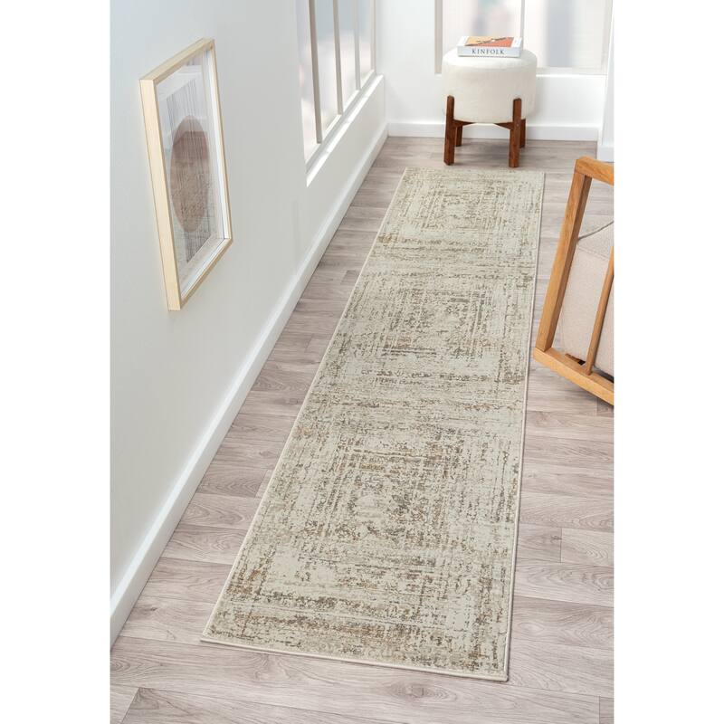 Bailey Transitional Distressed Beige/Brown Performance Indoor Area Rug by Sevita - 2' x 10'
