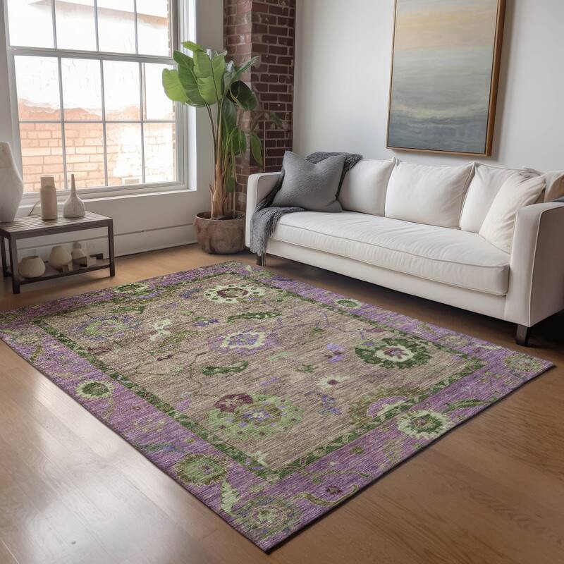 Machine Washable Indoor/ Outdoor Traditional Boho Chantille Rug