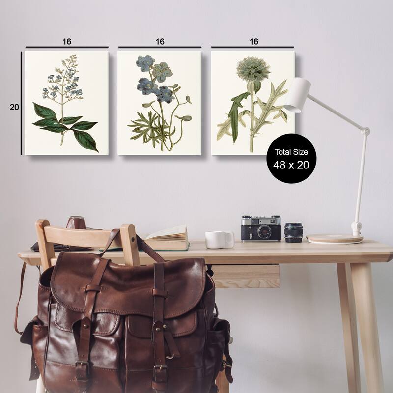 Stupell Vintage Blue Botanical Flowers on Beige, 3pc Multi Piece Canvas Wall Art Set