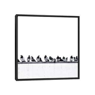 iCanvas "Pigeons" by Igor Vitomirov Framed - Bed Bath & Beyond - 37142960