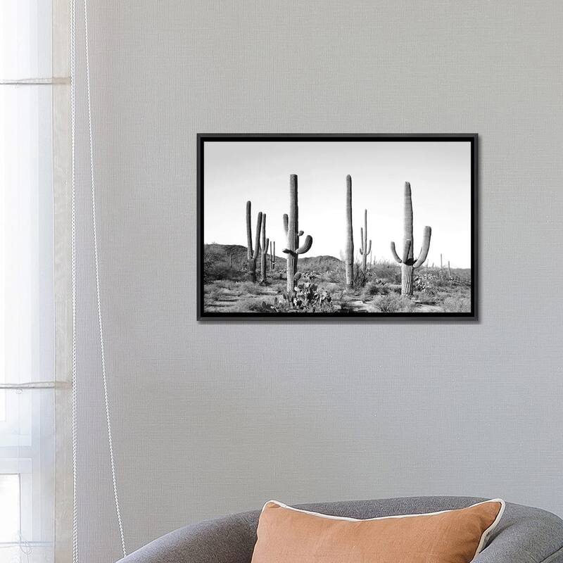 iCanvas "Gray Cactus Land" by Sisi & Seb Framed