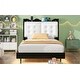 preview thumbnail 6 of 66, Twin Upholstered Bed with LED Lighting, Storage Headboard, and USB Charging Ports