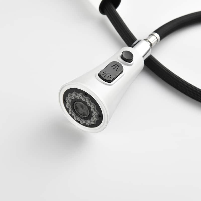 Single Handle Pull-down Sprayer Kitchen Faucet With Deck plate